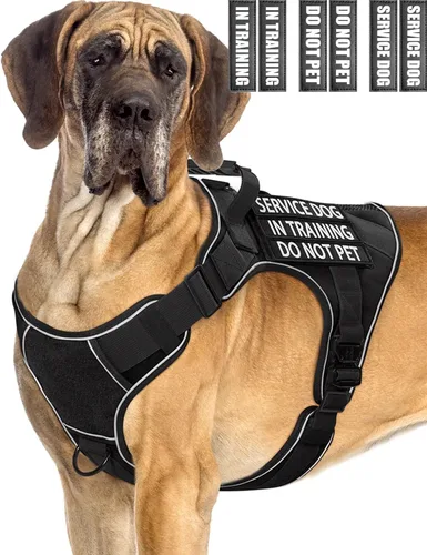 Miniatura 10 de Chaleco de perro de servicio para perros medianos, arnés de perro de servicio en entrenamiento con parches, chaleco ajustable para perros
