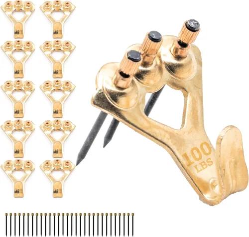 Perchas de fotos de 100 libras, paquete de 10 con clavos, ganchos para colgar cuadros, accesorios para colgar cuadros, ganchos o colgadores de