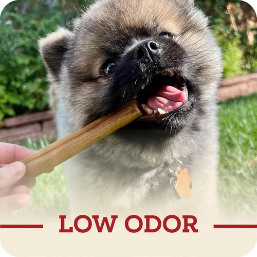 Miniatura 7 de Redbarn Pet Products Palitos de colágeno de carne de res totalmente naturales grandes de 12 pulgadas para perros, alternativa de larga duración