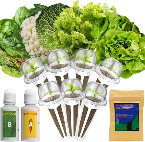 Lyko Heirloom - Kit de vainas de semillas para ensalada AeroGarden, iDoo, Ahopegarden, GARDENCUBE, 7 cápsulas con lechuga American Fast/Paris