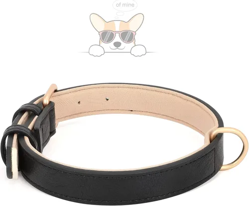 Miniatura 3 de WHIPPY Collar de cuero para perro pequeño, mediano y grande, ajustable, suave, transpirable, acolchado, de cuero con hebilla de aleación, resistente