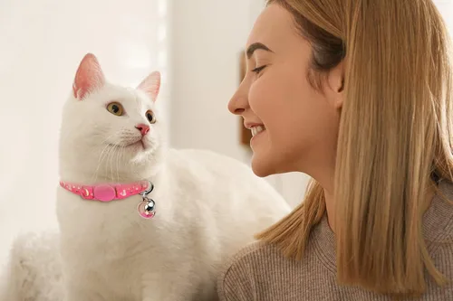Miniatura 7 de Baeuppit 2 piezas de collares de gato separables con campana, lunas y estrellas, lindos collares ajustables y seguros para gatitos con colgante que