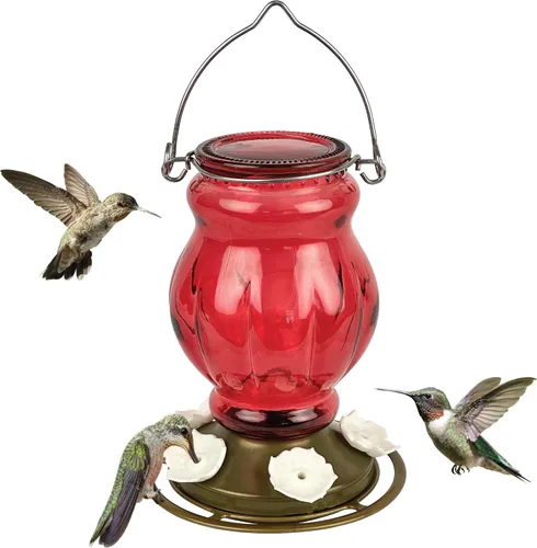 Nature's Way Comedero colgante de vidrio para colibríes para decoración al aire libre, alimentador de néctar de capacidad de 25 onzas, 5 puertos