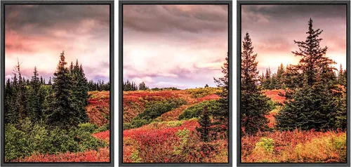 Miniatura 80 de SIGNWIN Lienzo enmarcado para pared, juego de arte nublado de tormenta, cielo, bosque otoñal, árboles, rústico, naturaleza, fotografía, realismo