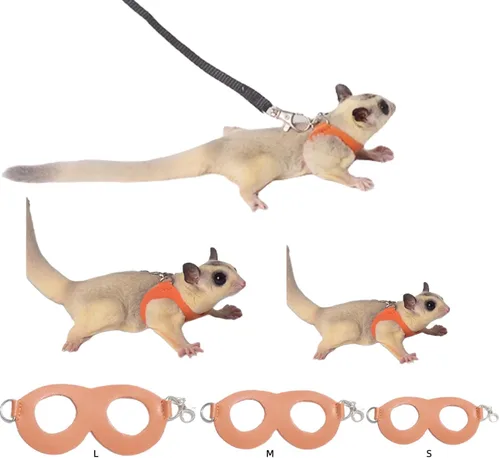 Miniatura 11 de MANON ROSA Sugar Glider - Juego de arnés y correa, chaleco ajustable de 3 piezas a prueba de escapes para ardillas, ratas, ratones, ratones y 01
