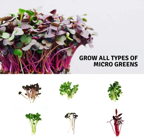 Miniatura 5 de Micro-Mat Minis - Almohadillas hidropónicas de cultivo - para producción orgánica - germinación de plantas y semillas: pasto de trigo, microverdes