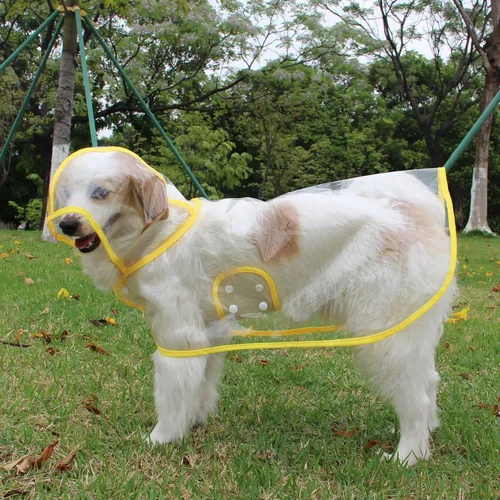 Miniatura 3 de Impermeable para mascotas, impermeable para perros pequeños, abrigo impermeable para cachorros, ropa impermeable transparente para perros pequeños