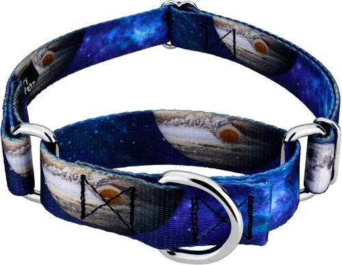 Miniatura 15 de Country Brook Petz - Collar de perro Martingale Space Aliens - Colección Geek Chic con diseños para cualquier mega fan (5/8 pulgadas, pequeño)