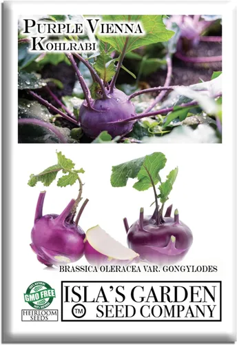 Purple Vienna Semillas de colinabo (Brassica oleracea var. gongylodes) – Más de 300 semillas de reliquia sin OMG de Isla's Garden Seeds, bulbos