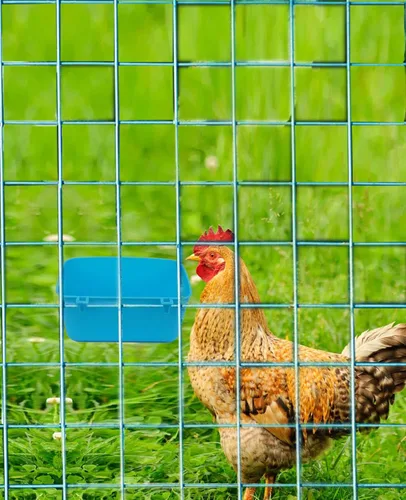 Miniatura 6 de Paquete de 12 Comedero Bebedero para Pollos de 21 oz Tazas de Jaula para Comida y Agua Conejo Cachorro Gato Plato Colgante de Alimentación Tazón