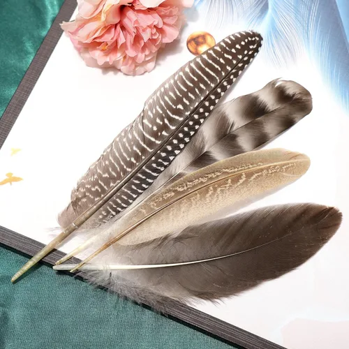 Miniatura 5 de THARAHT 24 plumas naturales manchadas de 4 estilos de plumas de ave de Guinea de 6 a 8 pulgadas a granel para manualidades, ropa, joyería