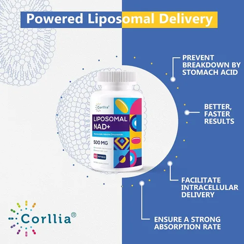 Miniatura 3 de NAD+ liposomal 500mg con cápsulas blandas TMG 250 mg, alternativa de ribósido de nicotinamida, suplemento real de NAD+, 180 porciones