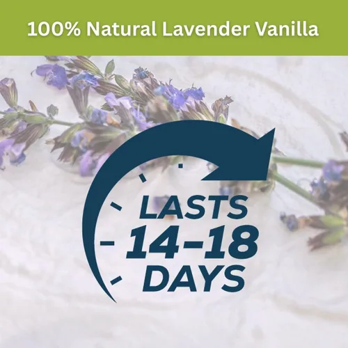 Miniatura 8 de Scent Fill Ambientador enchufable 100% natural de lavanda y vainilla, recargas de aceite perfumado, 2 recargas + difusor