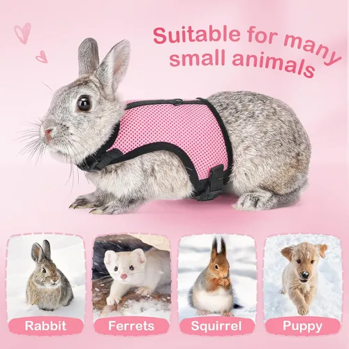 Miniatura 5 de PETTOM Arnés para Conejo Conejillo de Indias con Correa Elástica Extensible, Lindo Arnés de Malla Suave para Mascotas Pequeñas, Sin Tirones, Cómodo
