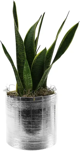 Miniatura 8 de WGVI Jarrón cilíndrico de cerámica grabada plateada de 6.5" de ancho y 6" de alto, arreglos florales, portavelas, maceta de terrario, contenedor