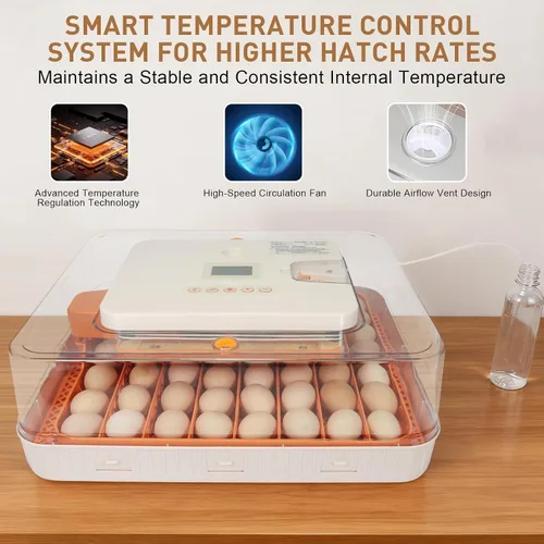 Miniatura 4 de Serie IV - Incubadora profesional de 56 huevos para criadores, control de humedad y temperatura preciso basado en sensores automáticos, espaciado