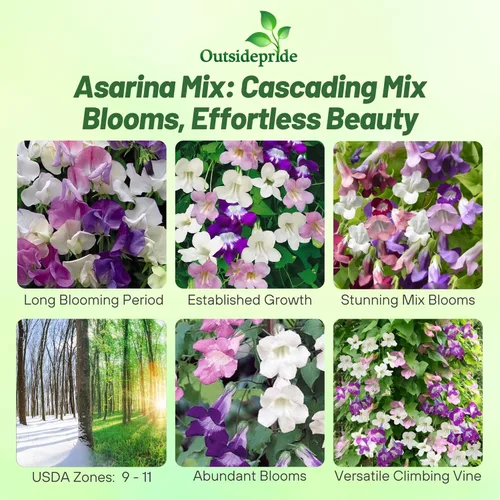 Miniatura 2 de Outsidepride Mix Asarina Climbing Snapdragon Seeds - 100 semillas de flores perennes para plantar, enredaderas trepadoras fáciles de cultivar