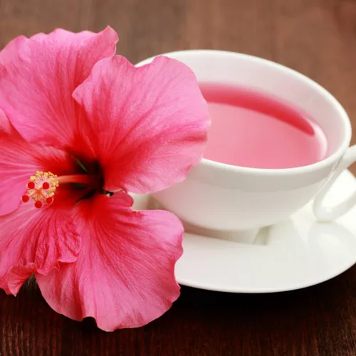 Miniatura 7 de Hibisco Rosa. rosa-sinensis. Planta Viva - Hibisco Tropical Floreciente, Flores Bonitas, Usado en Té y Jugo (2 Plantas de Hibisco Rosa)