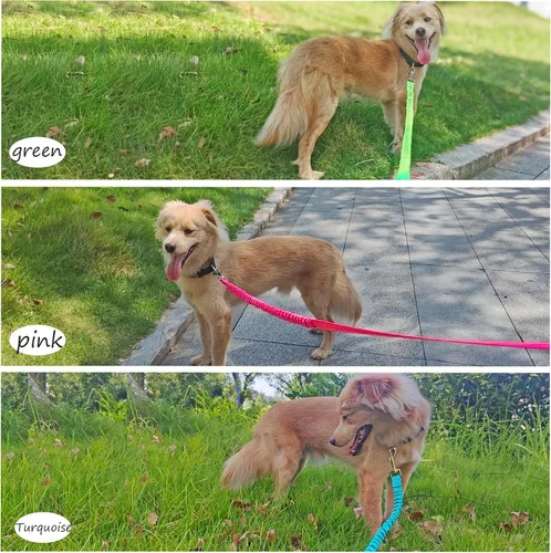 Miniatura 7 de Correa elástica para perro, correa de nailon reflectante y absorbente de golpes de 5 pies, entrenamiento antitirones para perros pequeños/medianos