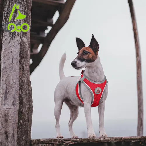 Miniatura 5 de DOCO Arnés para perro │ Arnés para cachorros Athletica para perros pequeños │ Chaleco resistente sin estrangulamiento, ligero reflectante