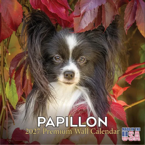 Miniatura 158 de Calendario amarillo 2025 2026 de Labrador Pups – Calendario mensual de pared de raza de perro – 12" x 24" abierto – Papel grueso anti-traspaso
