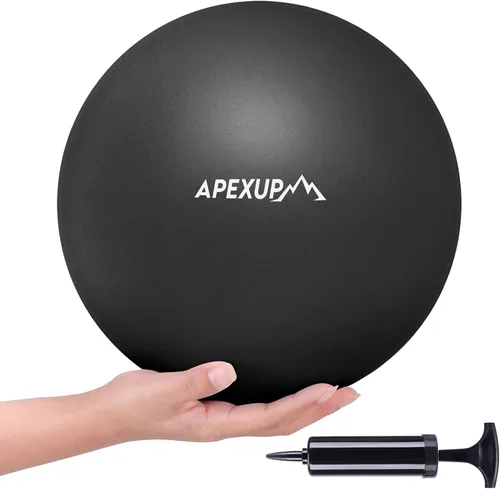 APEXUP 9 Inch Pilates Ball Small Exercise Ball for Yoga, Fitness, Balance, Core Workout, Physical Therapy Rosa