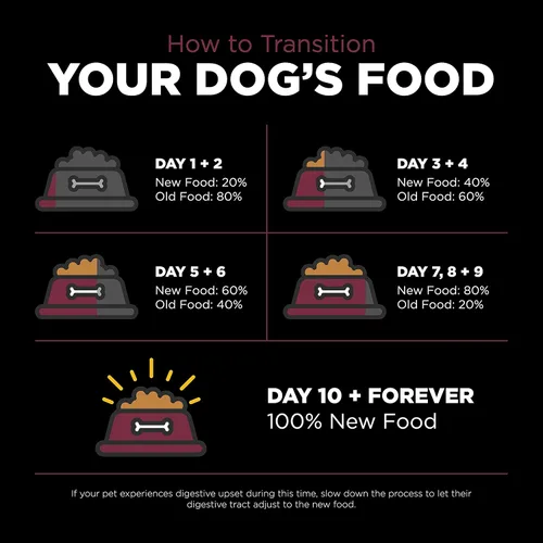 Miniatura 9 de Go! Solutions Sensitivities - Alimento seco para perros de cordero sin granos con ingredientes limitados, croquetas sin pollo fabricadas por