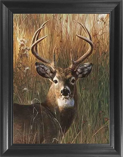 Miniatura 27 de Póster 3D de león, tigre y lobo con lengua hacia fuera 11.8 x 15.7 pulgadas Pósteres e imágenes de animales salvajes Regalos de recuerdos