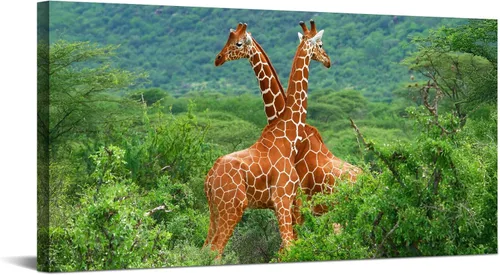Miniatura 41 de YONICA Lienzo de pared de animales de la naturaleza, pintura de pared de águila, impresión artística de águila calva voladora impresa en lienzo