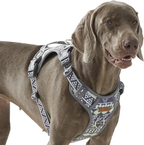Miniatura 10 de Arnés para perro sin tirones para perros medianos, chaleco reflectante ajustable con asa, para entrenamiento, senderismo, caminar, chaleco gris a