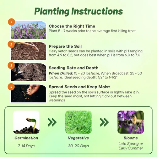 Miniatura 5 de Outsidepride Hairy Vetch Cover Crop Seeds – 1 oz tolerantes al frío, resistentes al invierno, ideales para mejorar el suelo, pastos verdes, heno