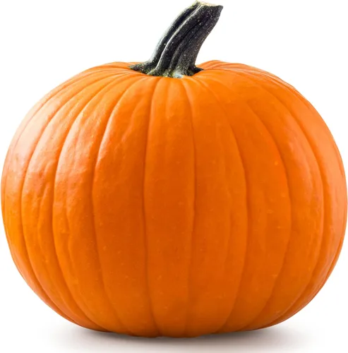 Miniatura 39 de 50 Hale's Best Cantaloupe Seeds for Planting - Sweet Aromatic Heirloom, Non-GMO, USA Grown by RDR Seeds