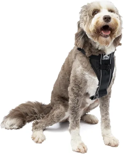 Miniatura 9 de Kurgo Tru-Fit - Arnés inteligente para caminar para perros, ajuste cómodo, arnés ajustable, reflectante para mascotas, liberación rápida