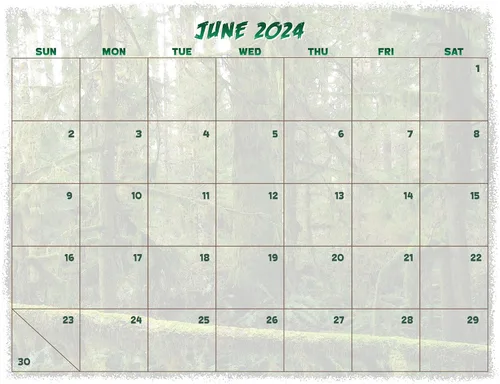 Miniatura 5 de Bigfoot Calendario de pared 2024-12 meses – 11 x 19 pulgadas abierto – Ideal para la oficina o cabina – Regalo divertido para los fanáticos