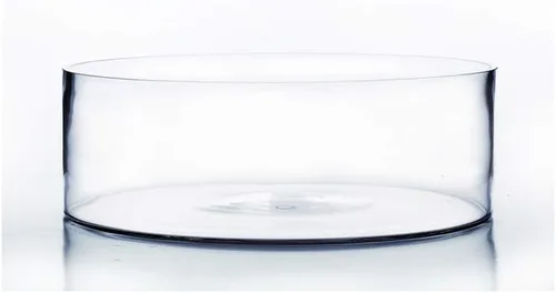 Miniatura 9 de WGV - Jarrón cilíndrico, ancho abierto de 8 pulgadas, altura de 4 pulgadas, recipiente transparente estilo sartén plana, terrario para maceta