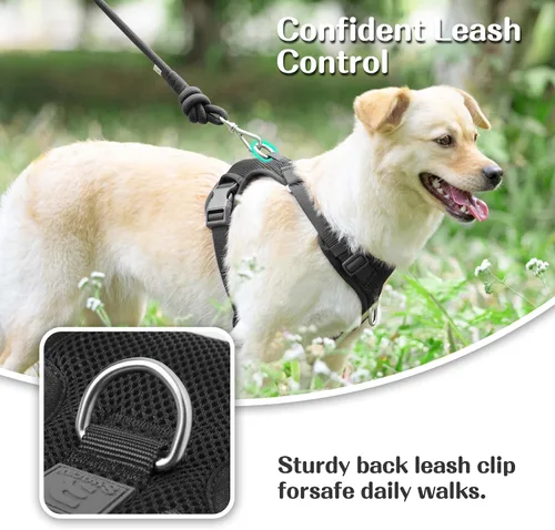 Miniatura 3 de Arnés sin tirones para perros pequeños, medianos y grandes, chaleco de malla ajustable de 2 capas con doble clip, a prueba de escapes, liberación