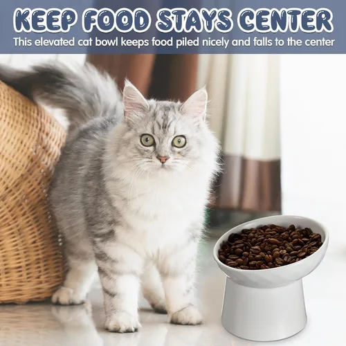 Miniatura 5 de Tanlade 4 cuencos elevados de cerámica para gatos, cuenco elevado inclinado para gatos para agua de alimentos, sin estrés, prevención de reflujo
