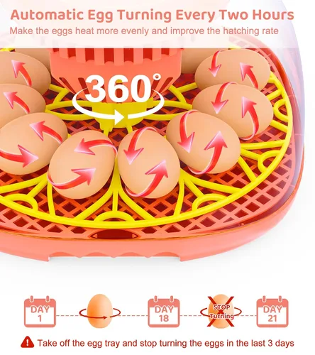 Miniatura 3 de Incubadora de 12 huevos para incubar huevos, control inteligente de temperatura y humedad, giro automático de huevos, incubadora para incubar pollo