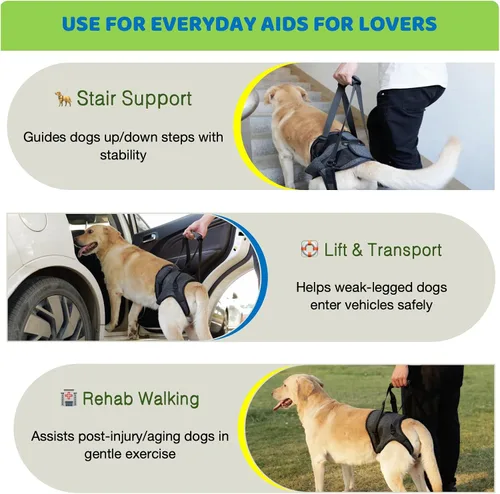 Miniatura 2 de Arnés de elevación para perros para patas traseras, soporte resistente para perros, soporte de cadera para caninos grandes y medianos, ayudante