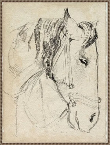 Miniatura 13 de Amanti Art Lienzo enmarcado para pared, diseño de caballo en brida, 24 x 18 pulgadas, boceto I de Jennifer Paxton Parker, lienzo enmarcado