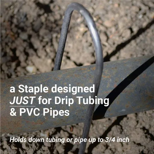 Miniatura 7 de Sandbaggy 100 grapas de paisaje de 6 pulgadas ~ SOD Staples Garden Stakes Round Pins