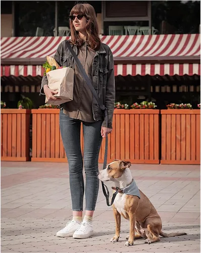 Miniatura 7 de Correa de perro de manos libres Heelay, cuerda multifuncional de 8.2 pies para cruce con mango a prueba de explosiones y correa ajustable