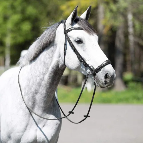 Miniatura 3 de HORZE Bergen Leather Remont Bridle