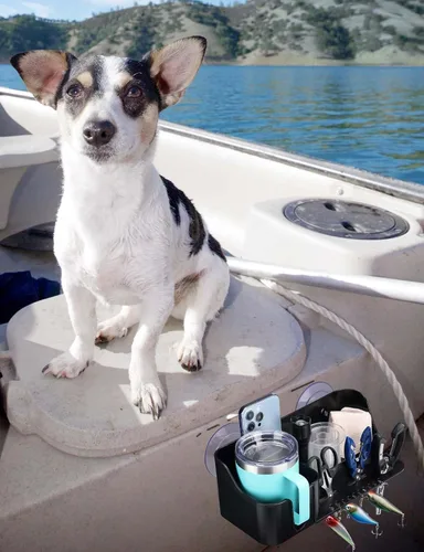 Miniatura 6 de KEMIMOTO Soporte para tazas de barco, organizador instalado con tornillos/ventosas en cualquier superficie plana, organizador de almacenamiento