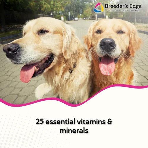 Miniatura 2 de Breeder's Edge Breed to Wean, Multivitamínico prenatal y posnatal para perros y gatos, apoya a las madres embarazadas y lactantes, suplemento