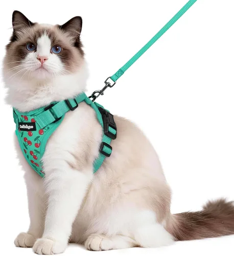Miniatura 101 de rabbitgoo Cat Harness and Leash Set, Escape Proof Vest, XXS, Berry Pounce Soft Breathable Mesh, No-choke Adjustable Fit, Snap Buckles, Sturdy