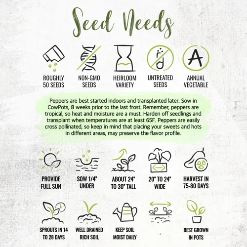 Miniatura 8 de Seed Needs Semillas de pimiento picante para plantar chiles serranos, semillas de vegetales sin OMG y sin tratar para plantar un jardín vegetal