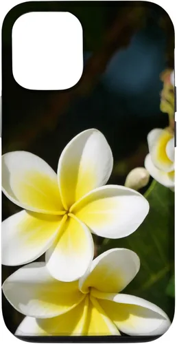 iPhone 12/12 Pro Plumeria Flower - Carcasa amarilla