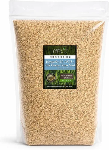 Semilla de césped Festuca Alta Kentucky 31 K31 de Eretz - ¡Elige el tamaño! Certificado por el estado, sin rellenos, sin malezas u otras semillas de