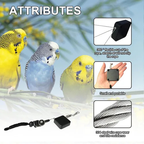 Miniatura 5 de Correa retráctil para pájaros, cuerda voladora de loro, correa de loro de cuerda de alambre antimordedura, arnés ajustable para pájaros